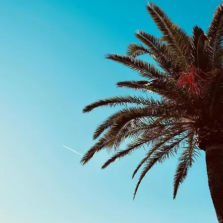 Apartamento Sejour Cosy A 4 Min De La A Fréjus